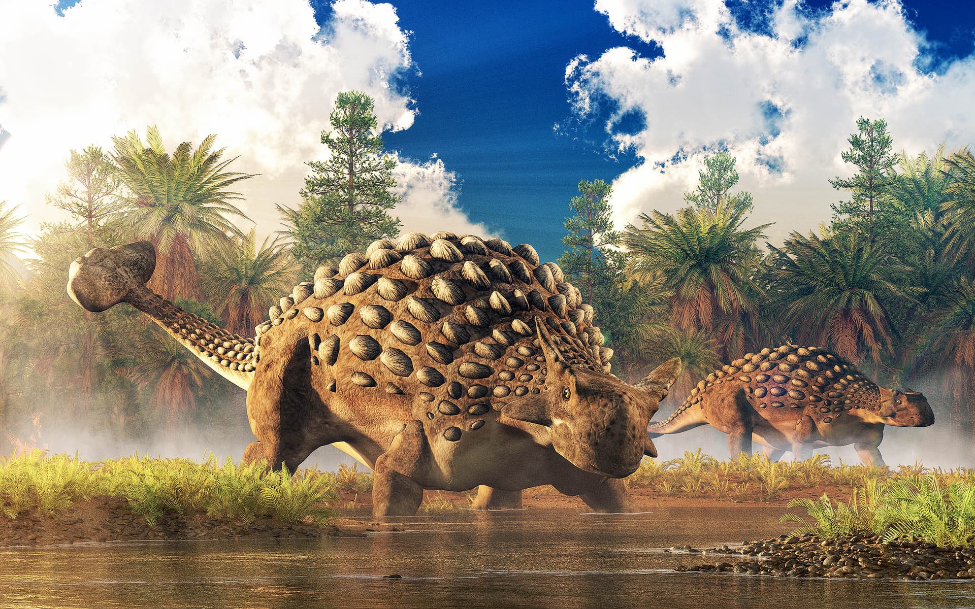 Baby dinosaur fossils show that some species were armored at birth