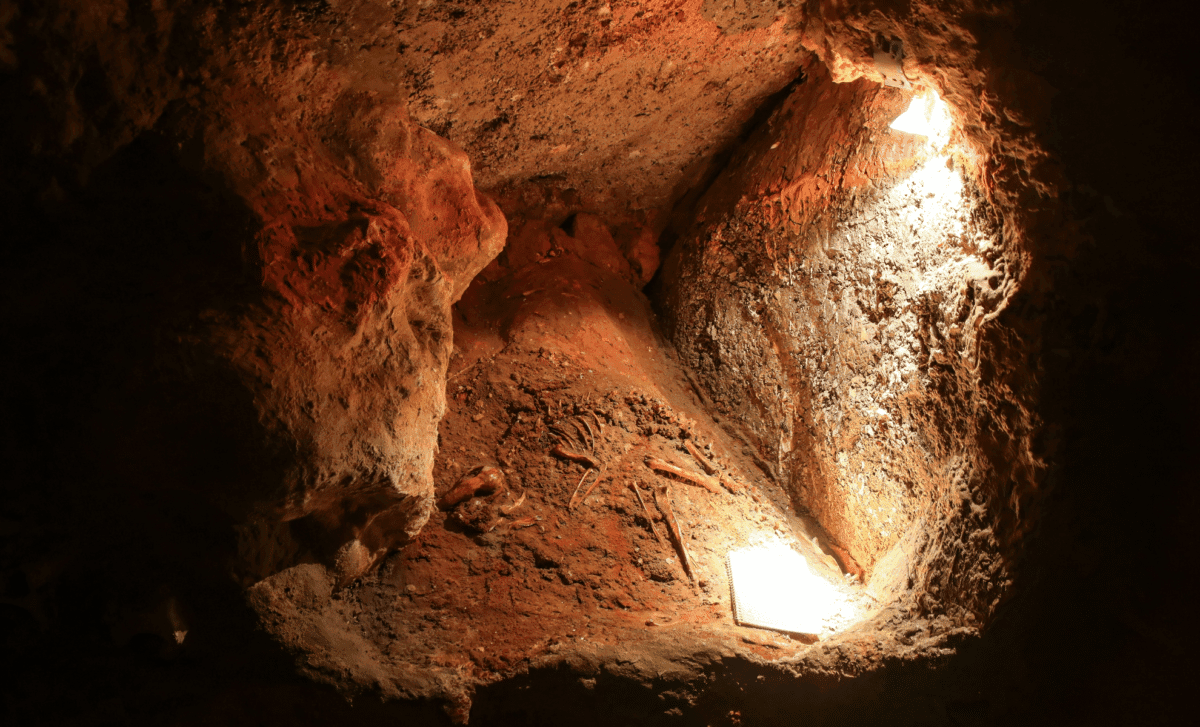 Archaeologists Discover Mysterious Collections of Animal Skulls in Neanderthal Cave